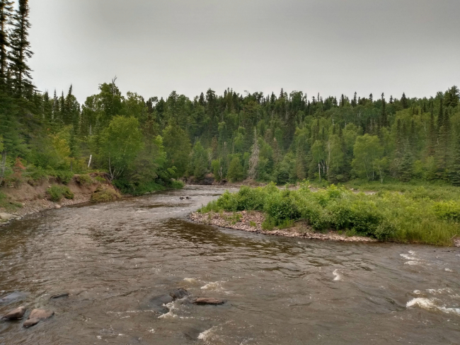 Mississippi River at Itasca - The Source